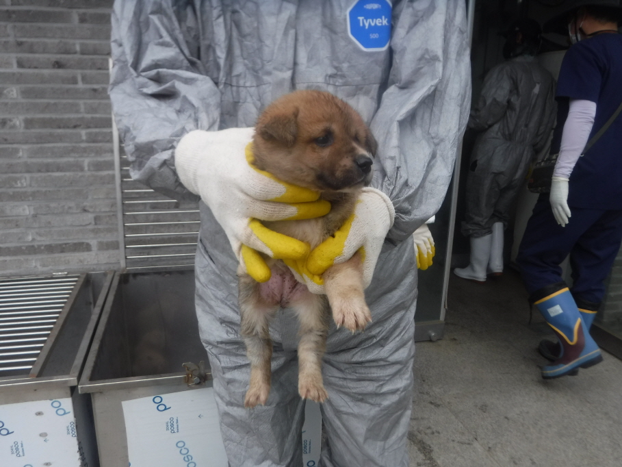 제주 동물보호센터_450650202301256