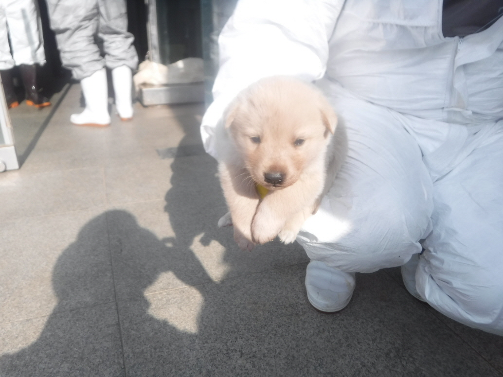 제주 동물보호센터_450650202301327