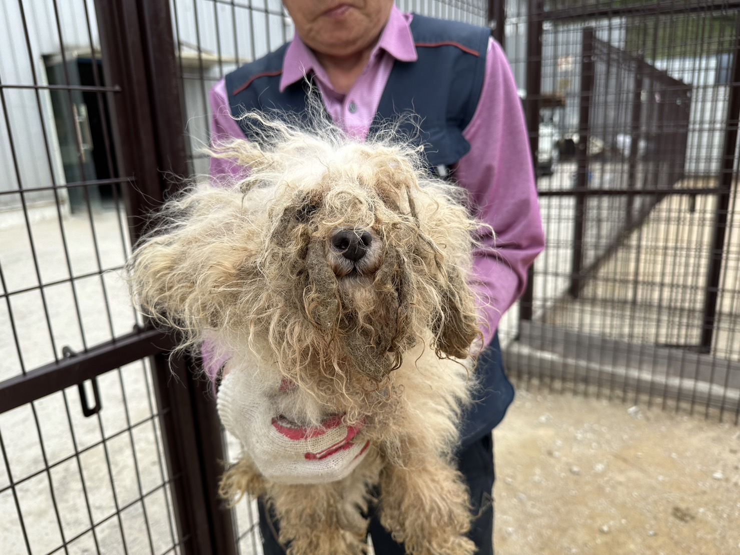 한국야생동물보호협회_441402202300261