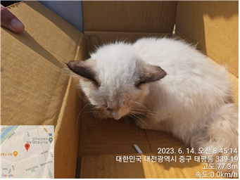대전동물보호센터_430365202300273