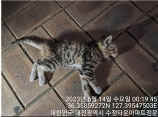 대전동물보호센터_430366202300344