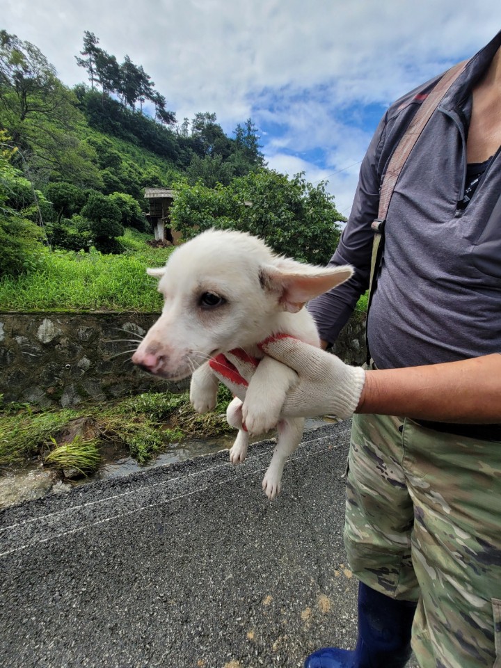 괴산증평동물보호센터_443446202300279