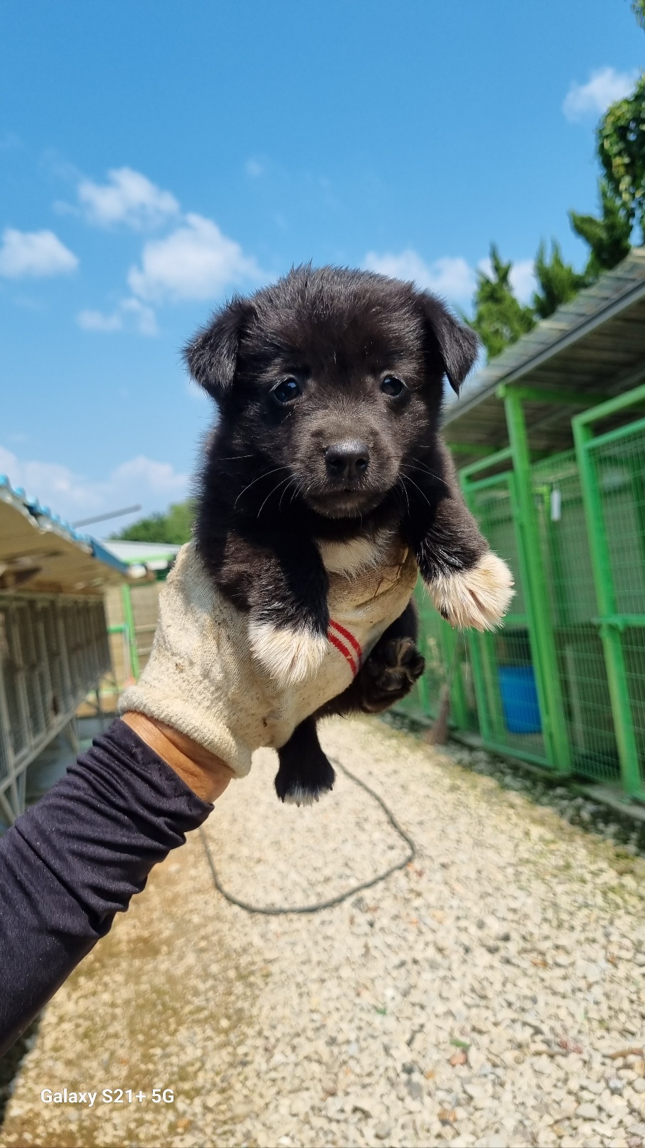 전북말산업복합센터_445471202300207