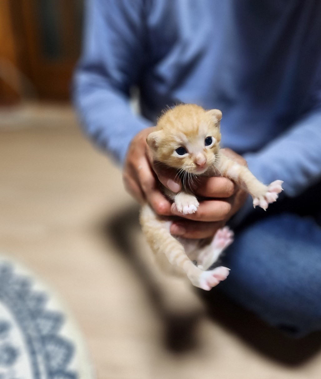 울산유기동물보호센터_431371202300370