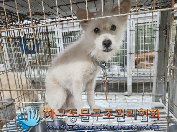 한국동물구조관리협회_441560202301062