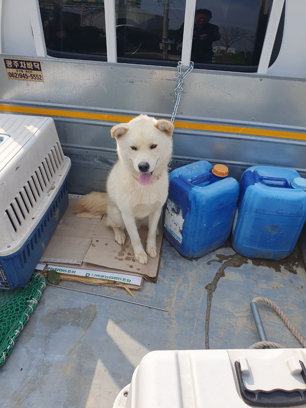 학교동물임시보호센터_446496202300546