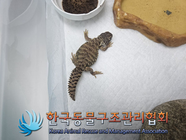 한국동물구조관리협회_411322202300869