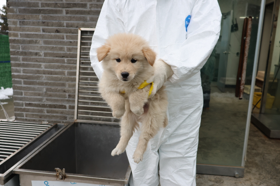 제주 동물보호센터_450650202304340