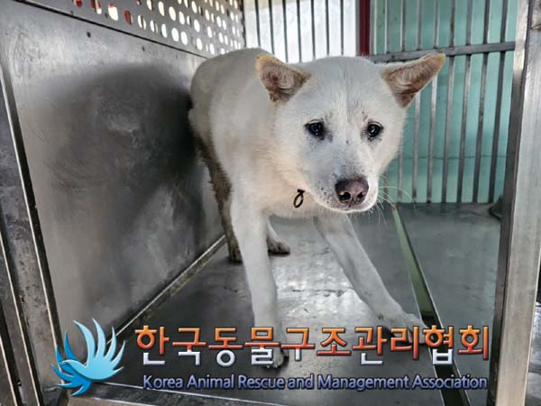 한국동물구조관리협회_441414202400032
