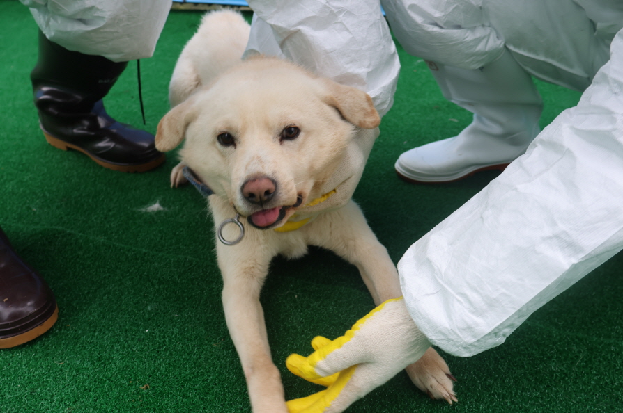 제주 동물보호센터_450650202400496