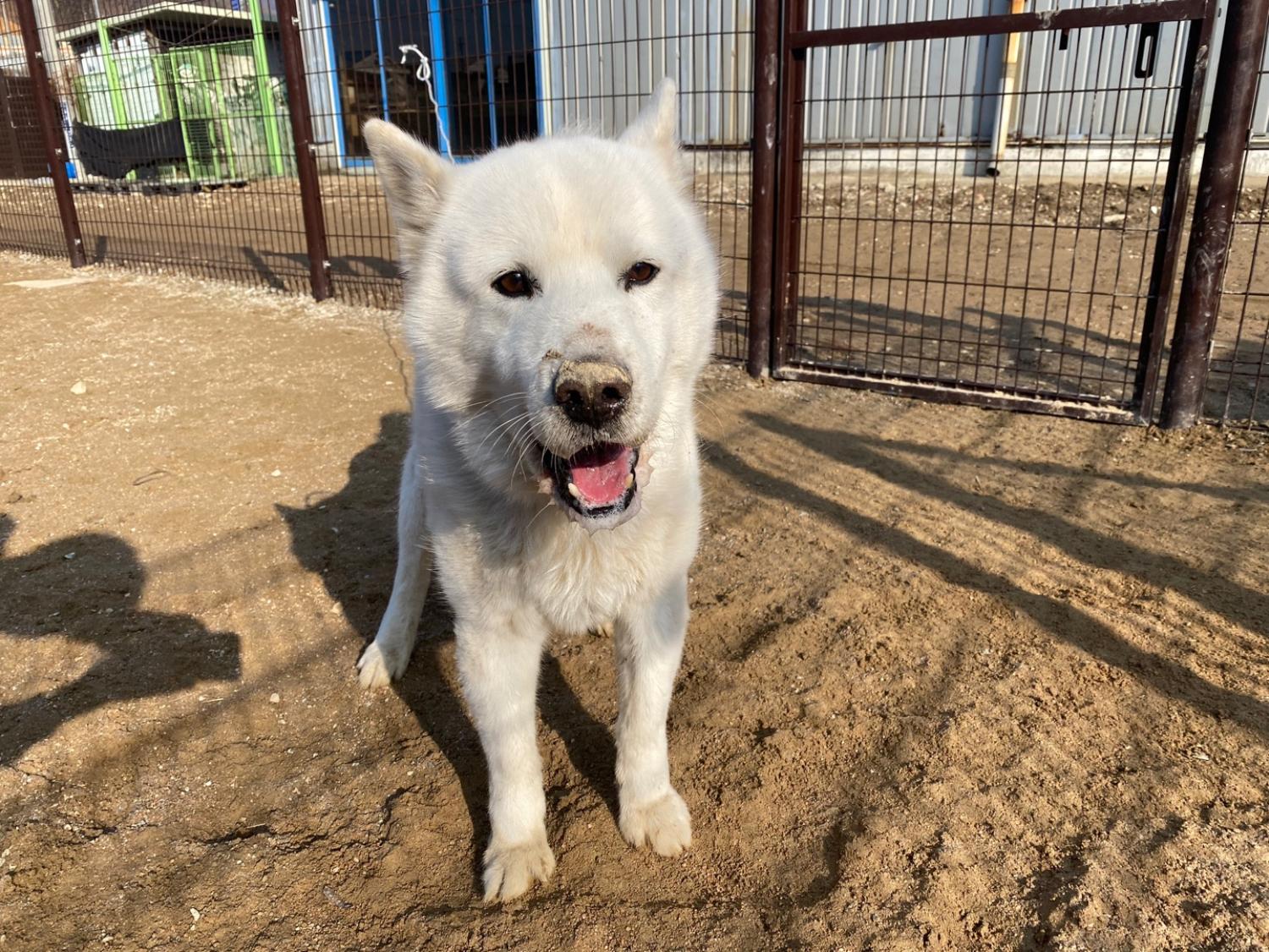 한국야생동물보호협회_441390202400019