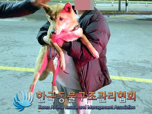 한국동물구조관리협회_411312202400107