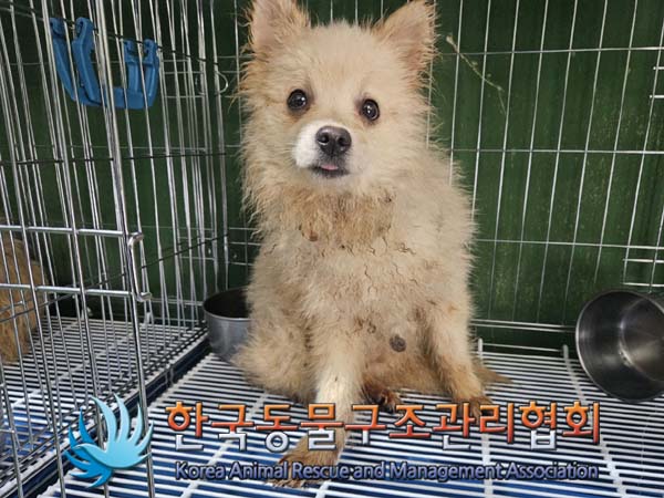 한국동물구조관리협회_411305202400039