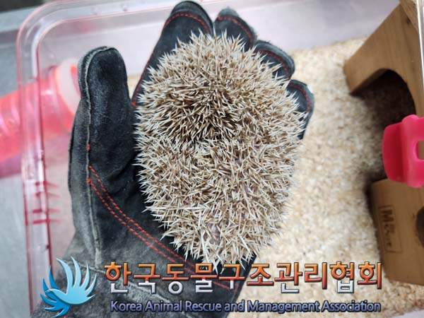 한국동물구조관리협회_411322202400145