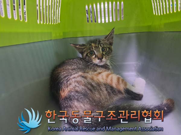 한국동물구조관리협회_411309202400244