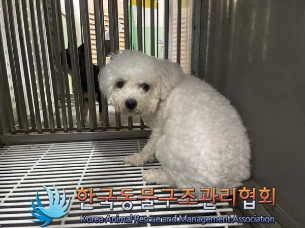 한국동물구조관리협회_441406202401373