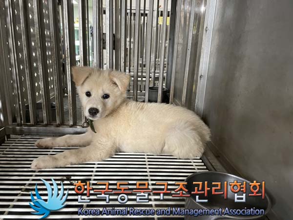 한국동물구조관리협회_441414202400638