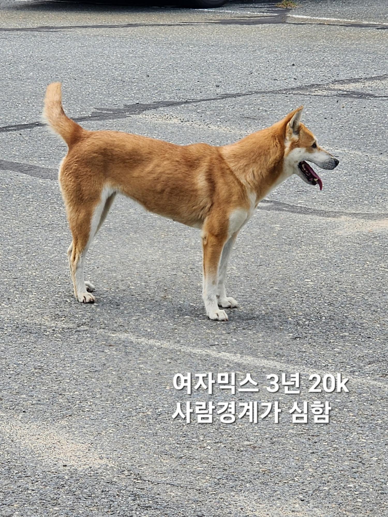 옥천동물병원_443443202400644