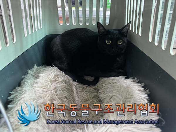 한국동물구조관리협회_441560202401066