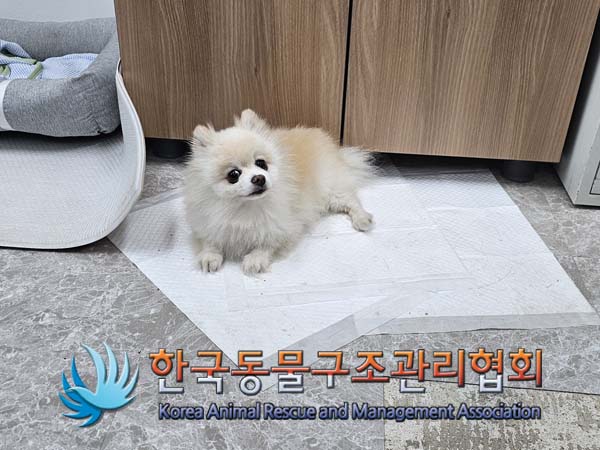 한국동물구조관리협회_441559202400942