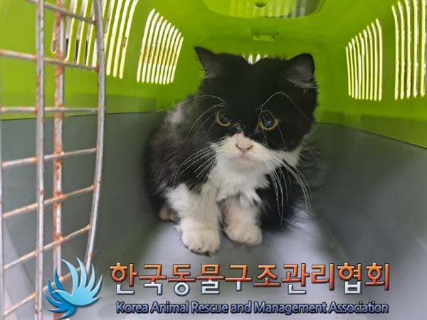 한국동물구조관리협회_441382202400681