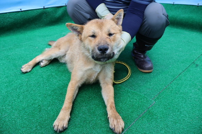 제주 동물보호센터_450650202402698