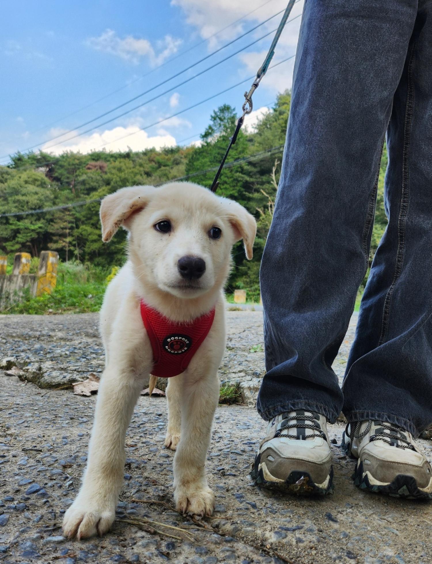 울산유기동물보호센터_431373202401414