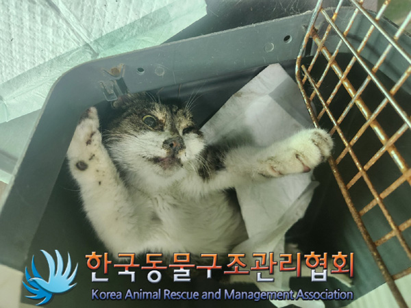 한국동물구조관리협회_411300202400458