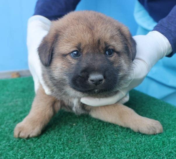 제주 동물보호센터_450650202403300