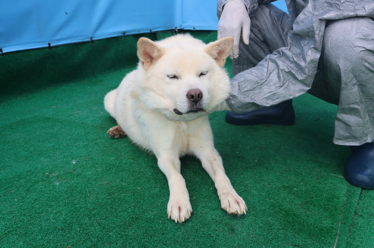 제주 동물보호센터_450650202403490