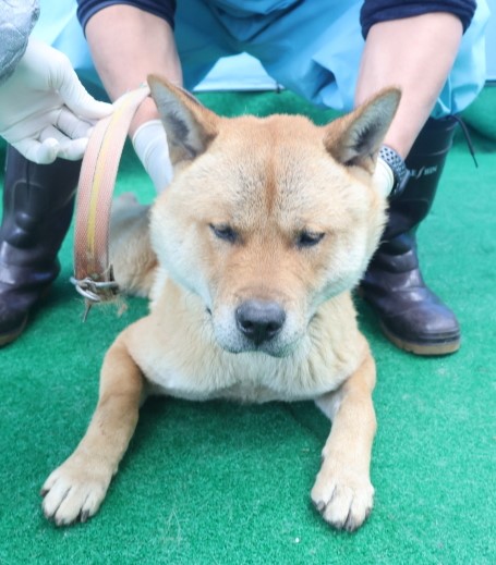 제주 동물보호센터_450650202403611