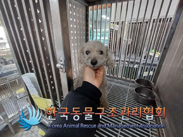 한국동물구조관리협회_411315202400684