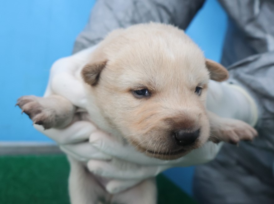 제주 동물보호센터_450650202403729