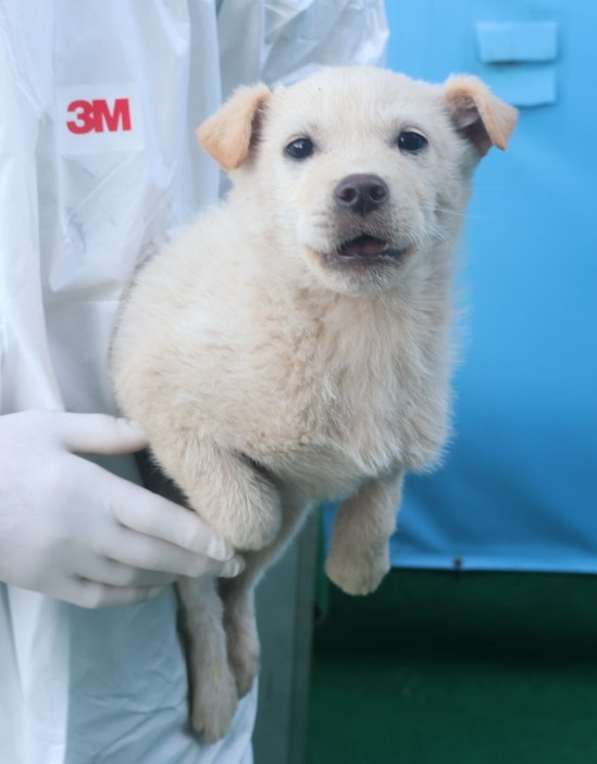 제주 동물보호센터_450650202403874