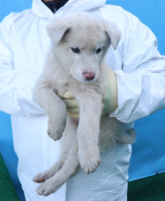 제주 동물보호센터_450650202500031