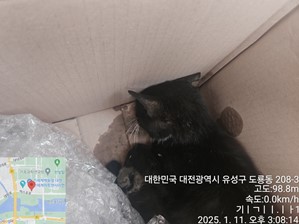 대전동물보호센터_430367202500017