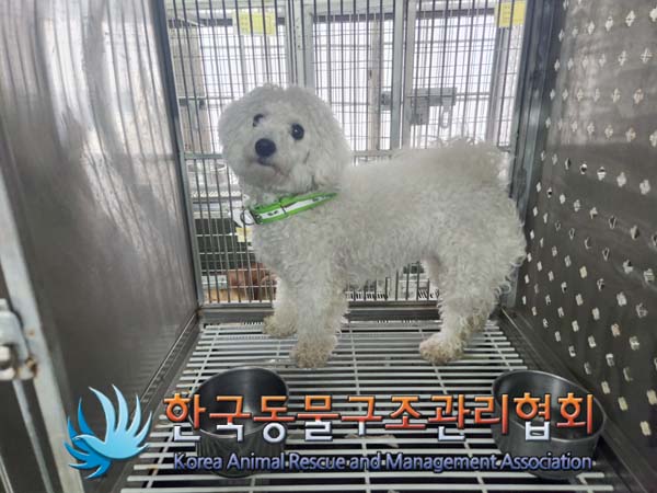 한국동물구조관리협회_441560202500033