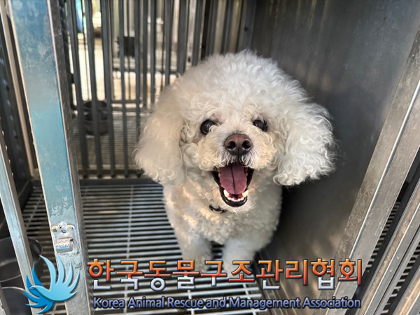 한국동물구조관리협회_441406202500045