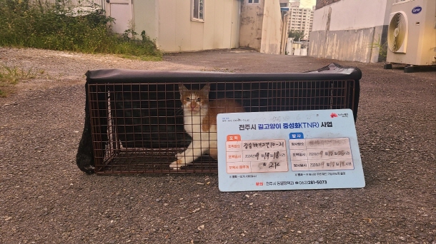 보호중동물사진 공고번호-전북-전주-2024-01575