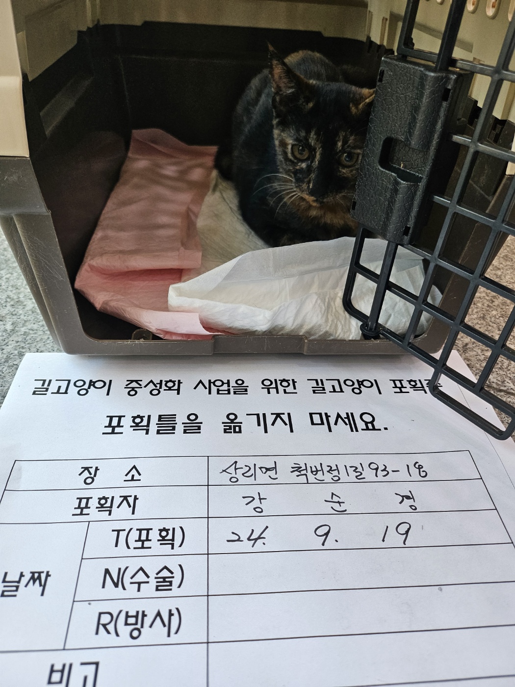 보호중동물사진 공고번호-경남-고성-2024-01850