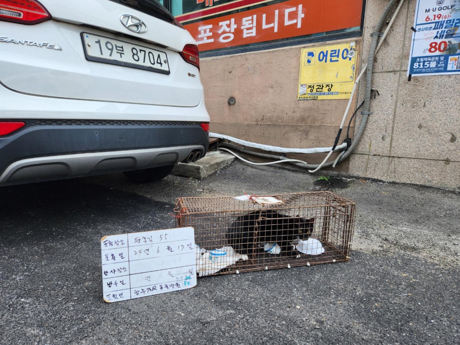보호중동물사진 공고번호-경기-광주-2024-00887