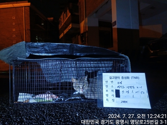 보호중동물사진 공고번호-경기-광명-2024-00425