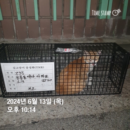 보호중동물사진 공고번호-서울-노원-2024-00428