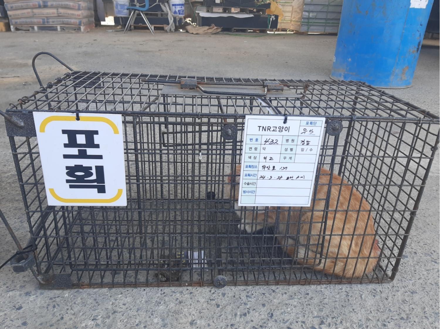 보호중동물사진 공고번호-경남-밀양-2024-00432