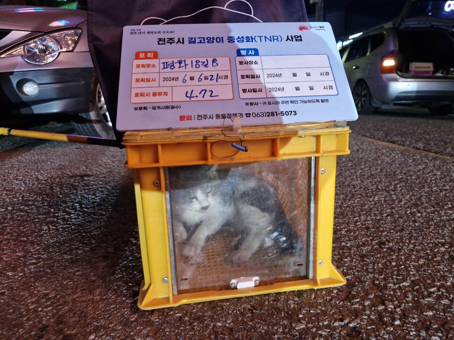 보호중동물사진 공고번호-전북-전주-2024-01238
