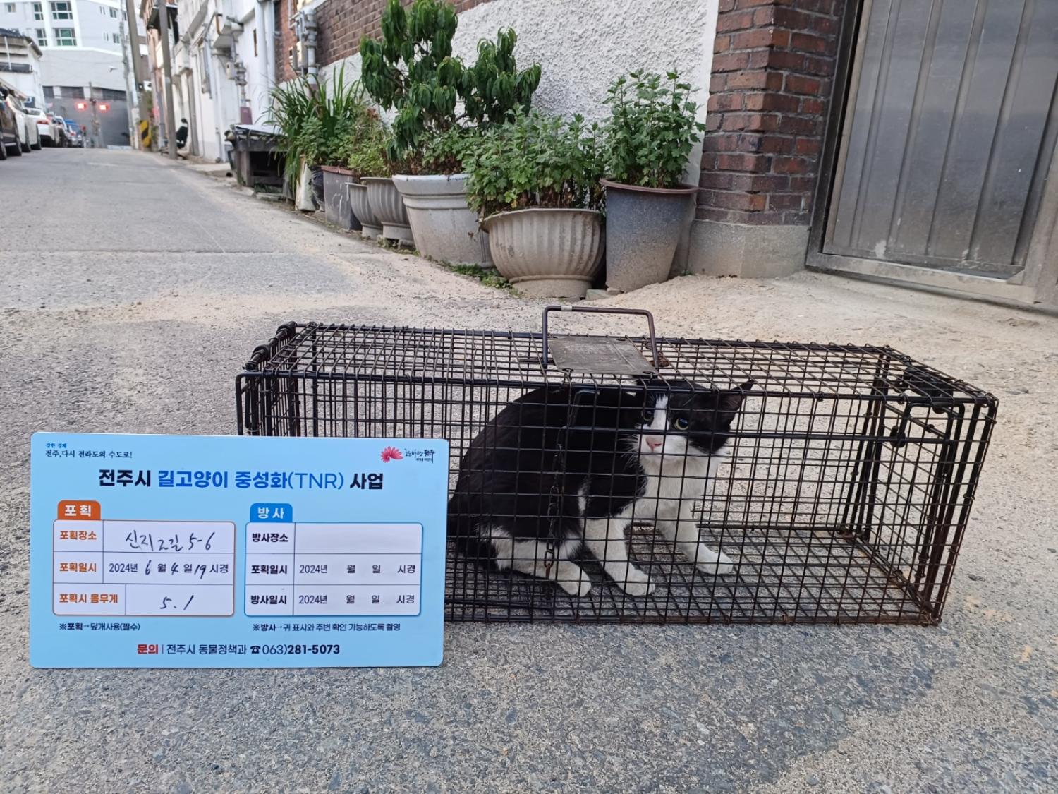 보호중동물사진 공고번호-전북-전주-2024-01233