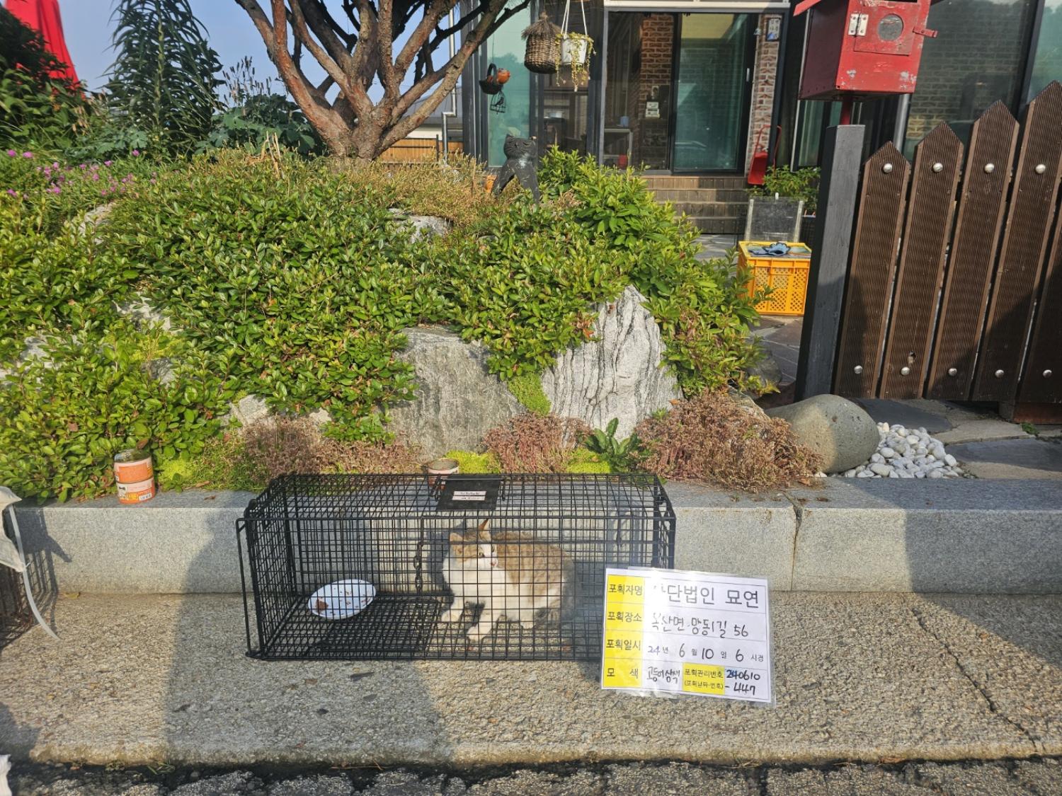 보호중동물사진 공고번호-전북-군산-2024-00476