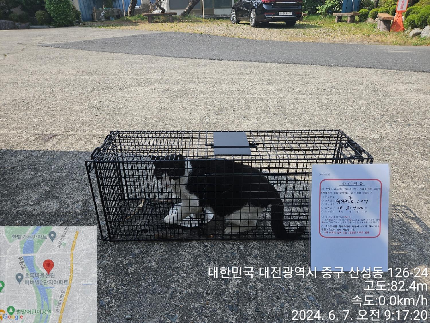 보호중동물사진 공고번호-대전-중구-2024-00124