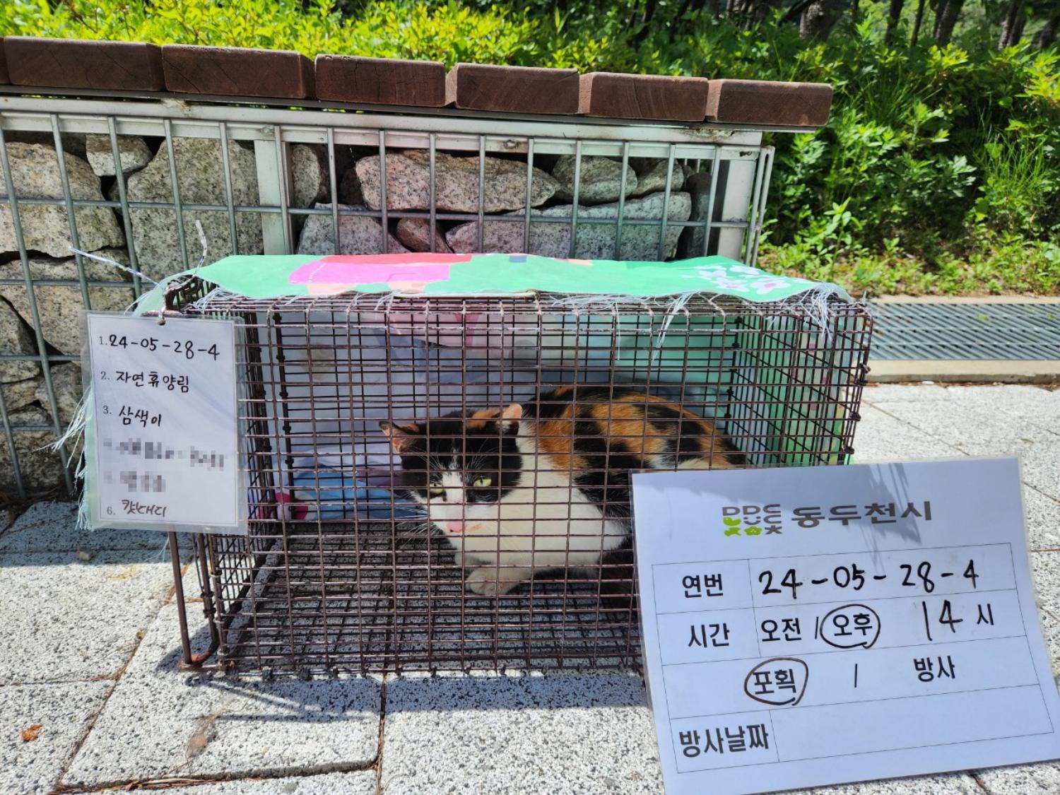 보호중동물사진 공고번호-경기-동두천-2024-00065