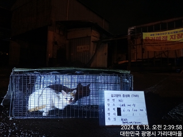 보호중동물사진 공고번호-경기-광명-2024-00355